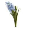 Blue Hyacinth Stem, 4ct.