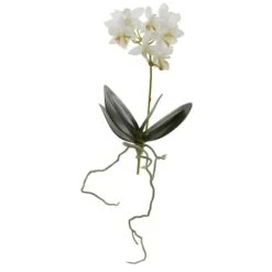 White Mini Moth Orchid Stem, 6ct. -Michaels D262228S 2