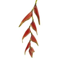 Orange Hanging Lobster Claw Flower, 4ct. -Michaels D262229S 3