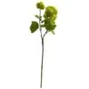 Green Snowball Hydrangea Stem, 6ct.