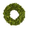 14'' Green Preserved Boxwood Wreath -Michaels D262258S 11