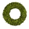 24" Green Preserved Boxwood Wreath -Michaels D262262S 11