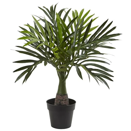 15.5" Potted Mini Areca Palm Plant 3 15.5" Potted Mini Areca Palm Plant
