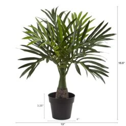 15.5" Potted Mini Areca Palm Plant 8 15.5" Potted Mini Areca Palm Plant -Michaels D262273S 2