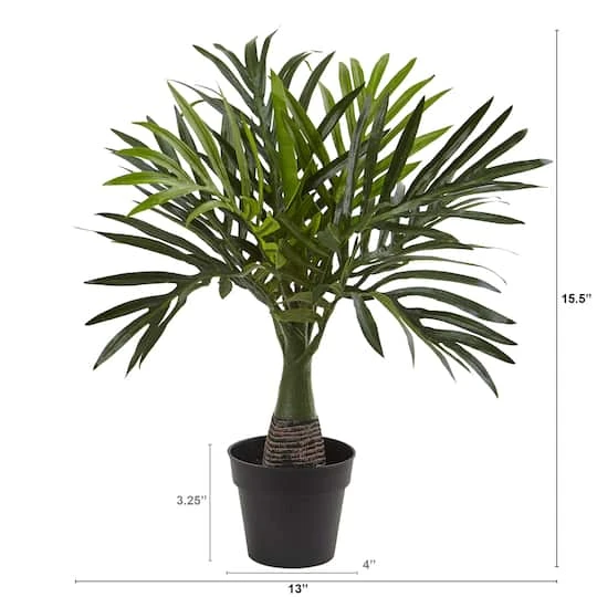 15.5" Potted Mini Areca Palm Plant 5 15.5" Potted Mini Areca Palm Plant - Image 3