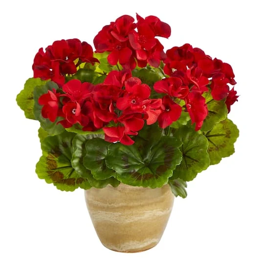 11'' Red Geranium In Ceramic Planter 3 11'' Red Geranium In Ceramic Planter