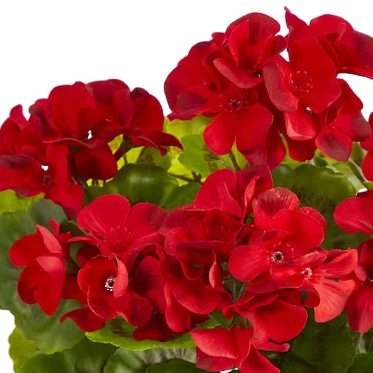 11'' Red Geranium In Ceramic Planter 7 11'' Red Geranium In Ceramic Planter - Image 5