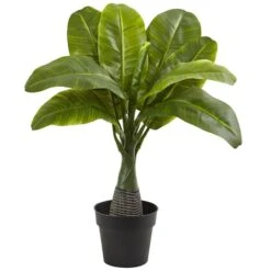 16" Potted Mini Banana Plant 7 16" Potted Mini Banana Plant -Michaels D262324S 1 1