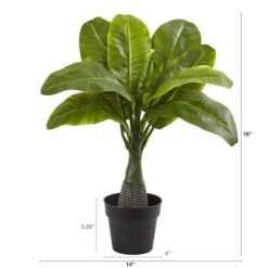 16" Potted Mini Banana Plant 8 16" Potted Mini Banana Plant -Michaels D262324S 2