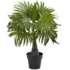 15.5" Potted Mini Fountain Palm Plant -Michaels D262325S 1