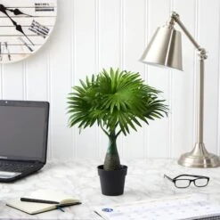 15.5" Potted Mini Fountain Palm Plant -Michaels D262325S 3