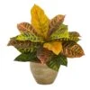 15" Garden Croton Plant In Ceramic Planter -Michaels D262331S 1