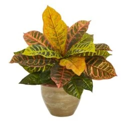 15" Garden Croton Plant In Ceramic Planter