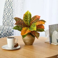 15" Garden Croton Plant In Ceramic Planter -Michaels D262331S 3