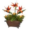 21" Bird Of Paradise & Cactus Plant In Metal Planter 1 21" Bird Of Paradise & Cactus Plant In Metal Planter -Michaels D262359S 1