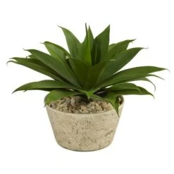 1.5ft. Agave Succulent Plant In White Planter