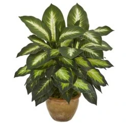 18" Dieffenbachia Tree In Ceramic Planter