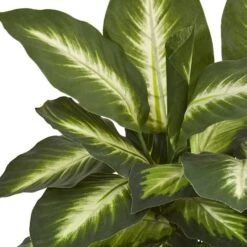 18" Dieffenbachia Tree In Ceramic Planter -Michaels D262462S 12