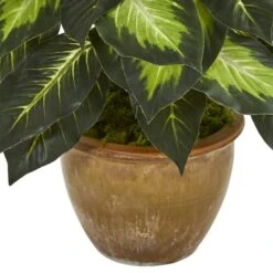 18" Dieffenbachia Tree In Ceramic Planter -Michaels D262462S 13