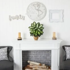 18" Dieffenbachia Tree In Ceramic Planter -Michaels D262462S 15