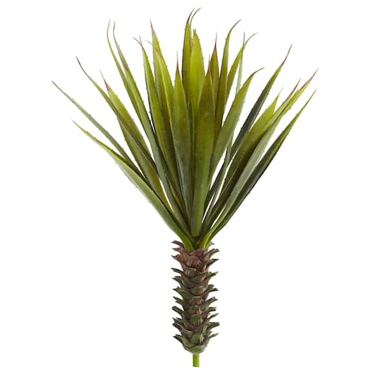 Green Spiky Agave Succulent, 2ct. 3 Green Spiky Agave Succulent, 2ct.