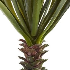 Green Spiky Agave Succulent, 2ct. 9 Green Spiky Agave Succulent, 2ct. -Michaels D262467S 13