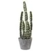 2ft. Cactus Garden In Cement Planter 1 2ft. Cactus Garden In Cement Planter -Michaels D262468S 11