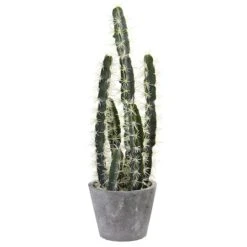 2ft. Cactus Garden In Cement Planter
