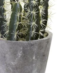 2ft. Cactus Garden In Cement Planter 10 2ft. Cactus Garden In Cement Planter -Michaels D262468S 13