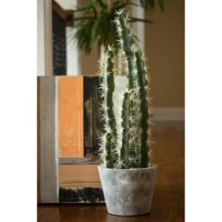 2ft. Cactus Garden In Cement Planter 11 2ft. Cactus Garden In Cement Planter -Michaels D262468S 14