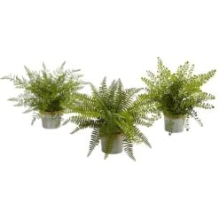 14" Fern In Decorative Pot, 3ct.