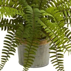 14" Fern In Decorative Pot, 3ct. -Michaels D262469S 13