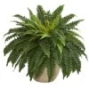 22" Boston Fern In Sandstone Planter -Michaels D262470S 11