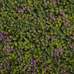 Purple & Green Clover Mat, 12ct. 13 Purple & Green Clover Mat, 12ct. -Michaels D262472S 15