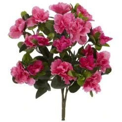 Pink Azalea Bush, 4ct.