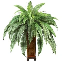 2.5ft. Boston Fern In Wood Vase -Michaels D262481S 11 1