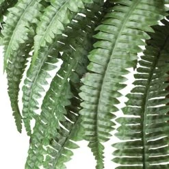 2.5ft. Boston Fern In Wood Vase -Michaels D262481S 12