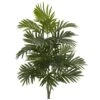 30" Areca Palm Plant, 3ct. 2 30" Areca Palm Plant, 3ct. -Michaels D262484S 1