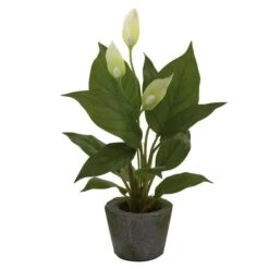 11" Peace Lily With Cement Planter, 3ct. -Michaels D262494S 12