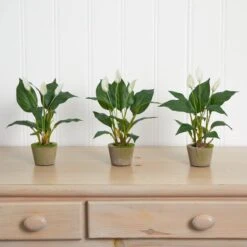 11" Peace Lily With Cement Planter, 3ct. -Michaels D262494S 13