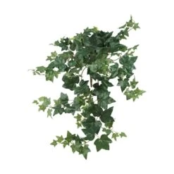 Hanging Puff Ivy, 3ct. -Michaels D262498S 1 1