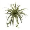 23" Spider Plant Bush, 4ct. -Michaels D262518S 1