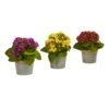9" Kalanchoe Arrangement In Decorative Pot, 3ct. 2 9" Kalanchoe Arrangement In Decorative Pot, 3ct. -Michaels D262522S 1