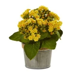 9" Kalanchoe Arrangement In Decorative Pot, 3ct. -Michaels D262522S 2