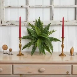 Boston Fern, 6ct. -Michaels D262533S 13