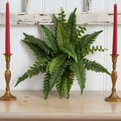 Boston Fern, 6ct. -Michaels D262533S 14