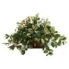 16" Hoya In Decorative Planter -Michaels D262538S 1