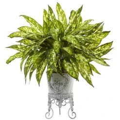 24" Aglaonema With White Metal Planter