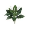 White Peace Lily Plant, 3ct. -Michaels D262550S 11