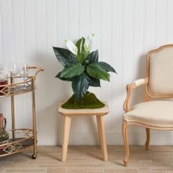 White Peace Lily Plant, 3ct. -Michaels D262550S 13